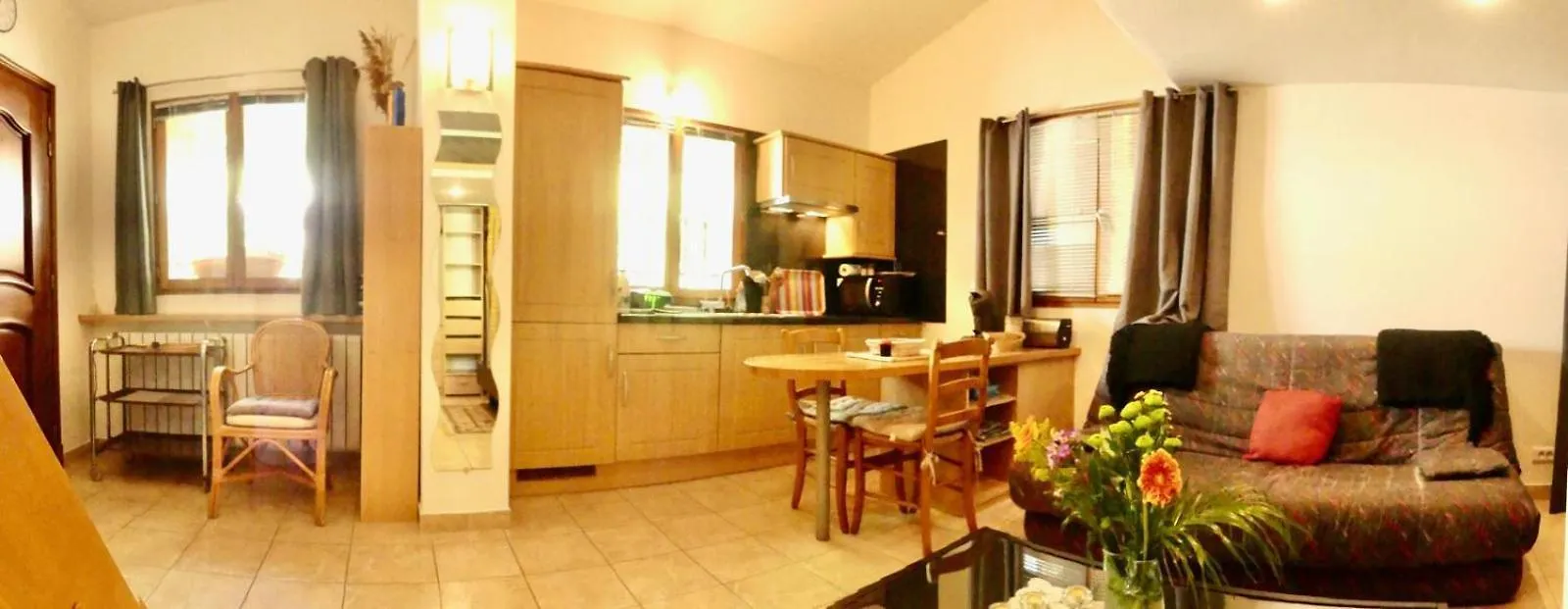 Les Mimosas Villa Biot